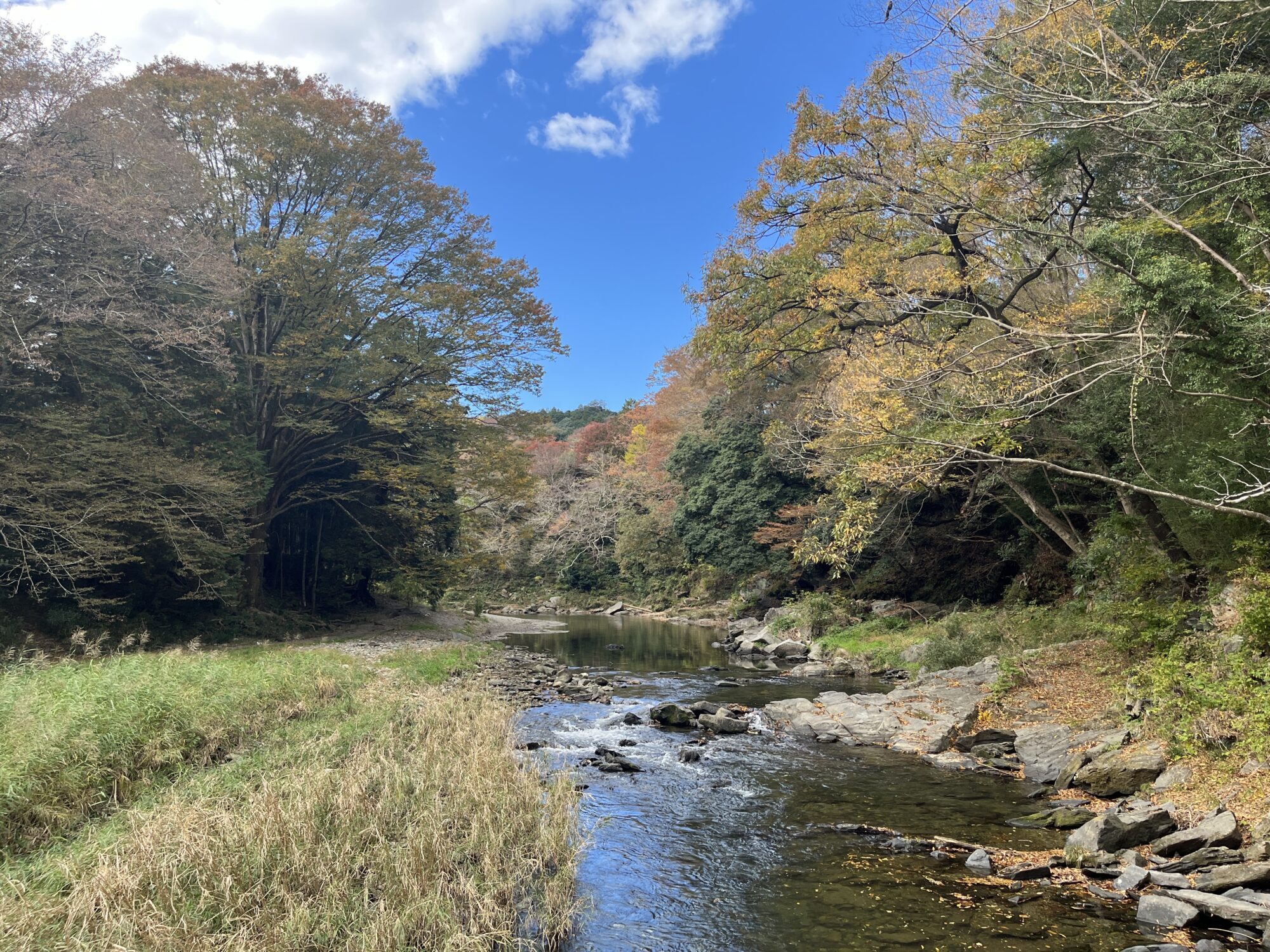 【令和６年紅葉情報】嵐山渓谷で肌寒い紅葉狩り（嵐山町）