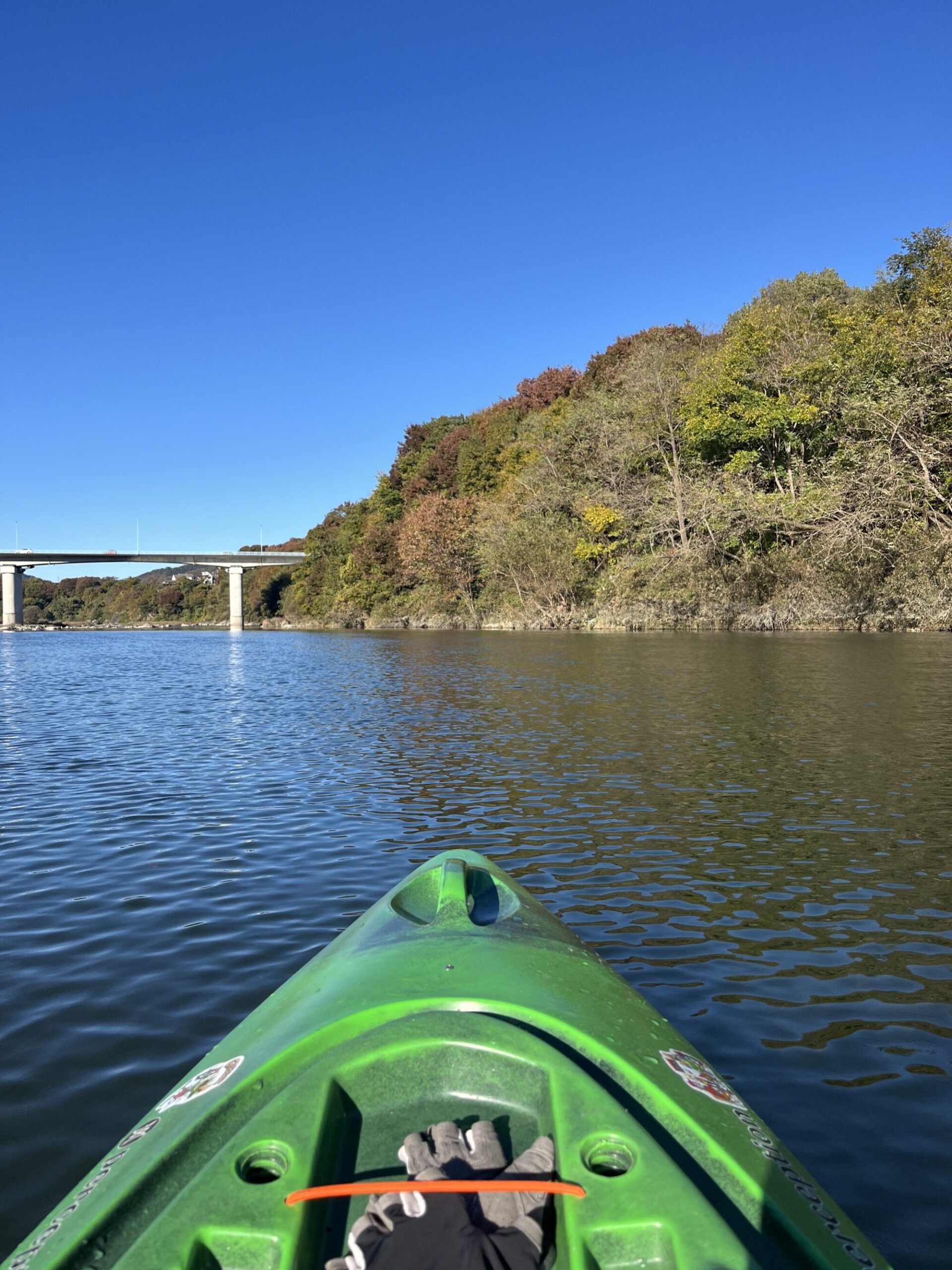 【令和６年紅葉情報】かわせみ河原で水上アクティビティ（寄居町）