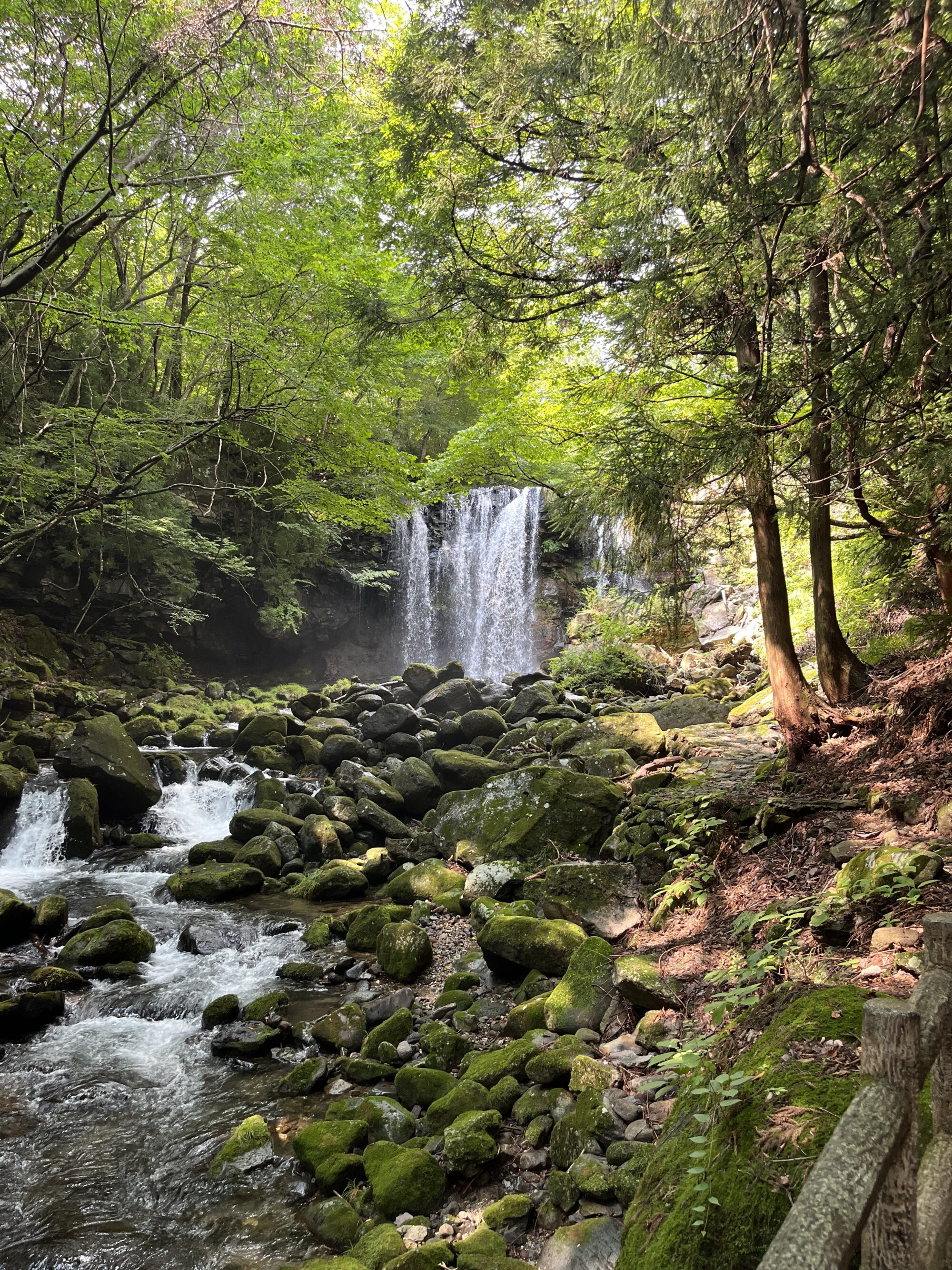 【番外編】乙女の滝でマイナスイオン(栃木県那須塩原市)