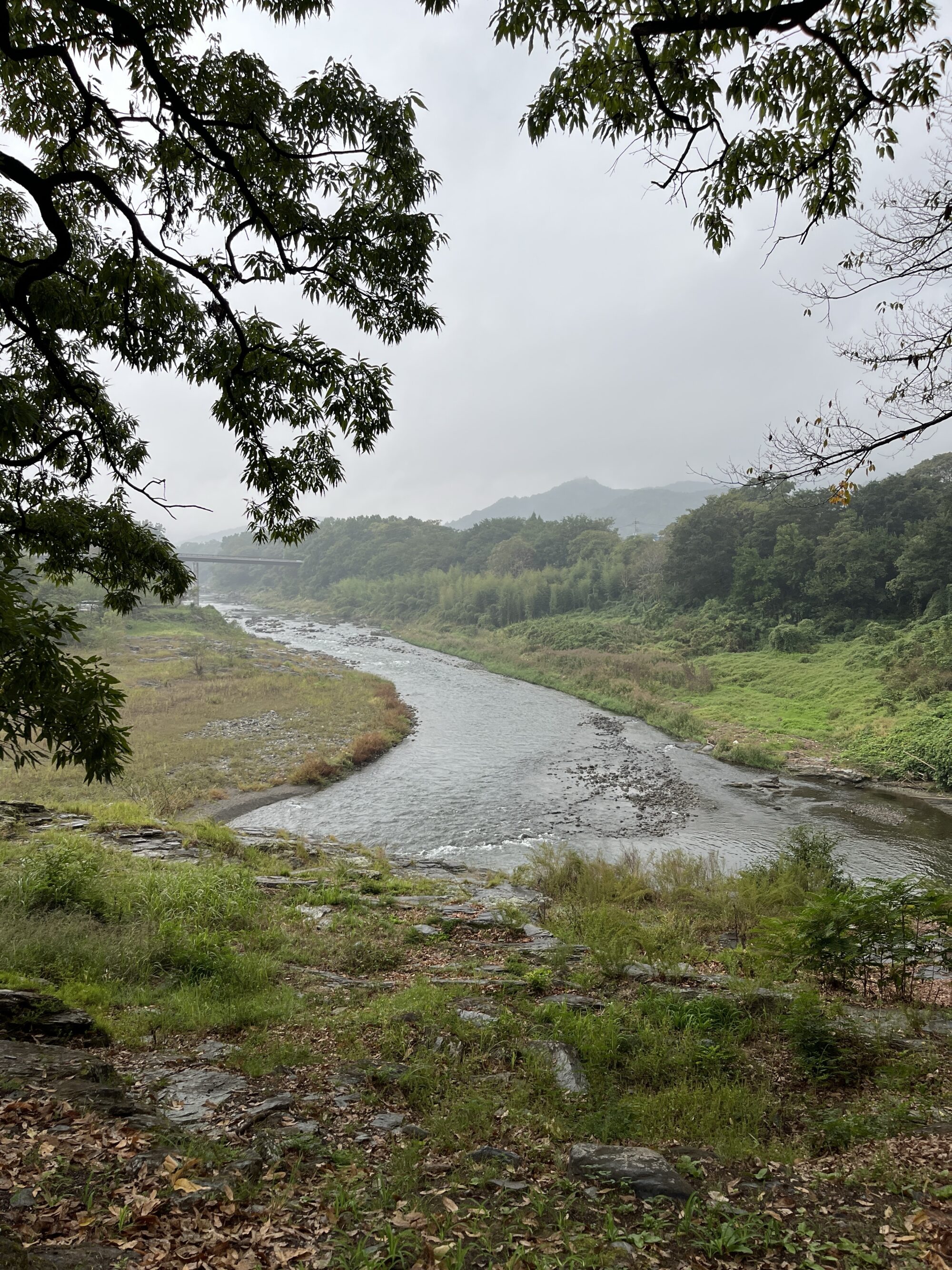 フォレストサンズ長瀞で荒川を望むキャンプ（長瀞町）