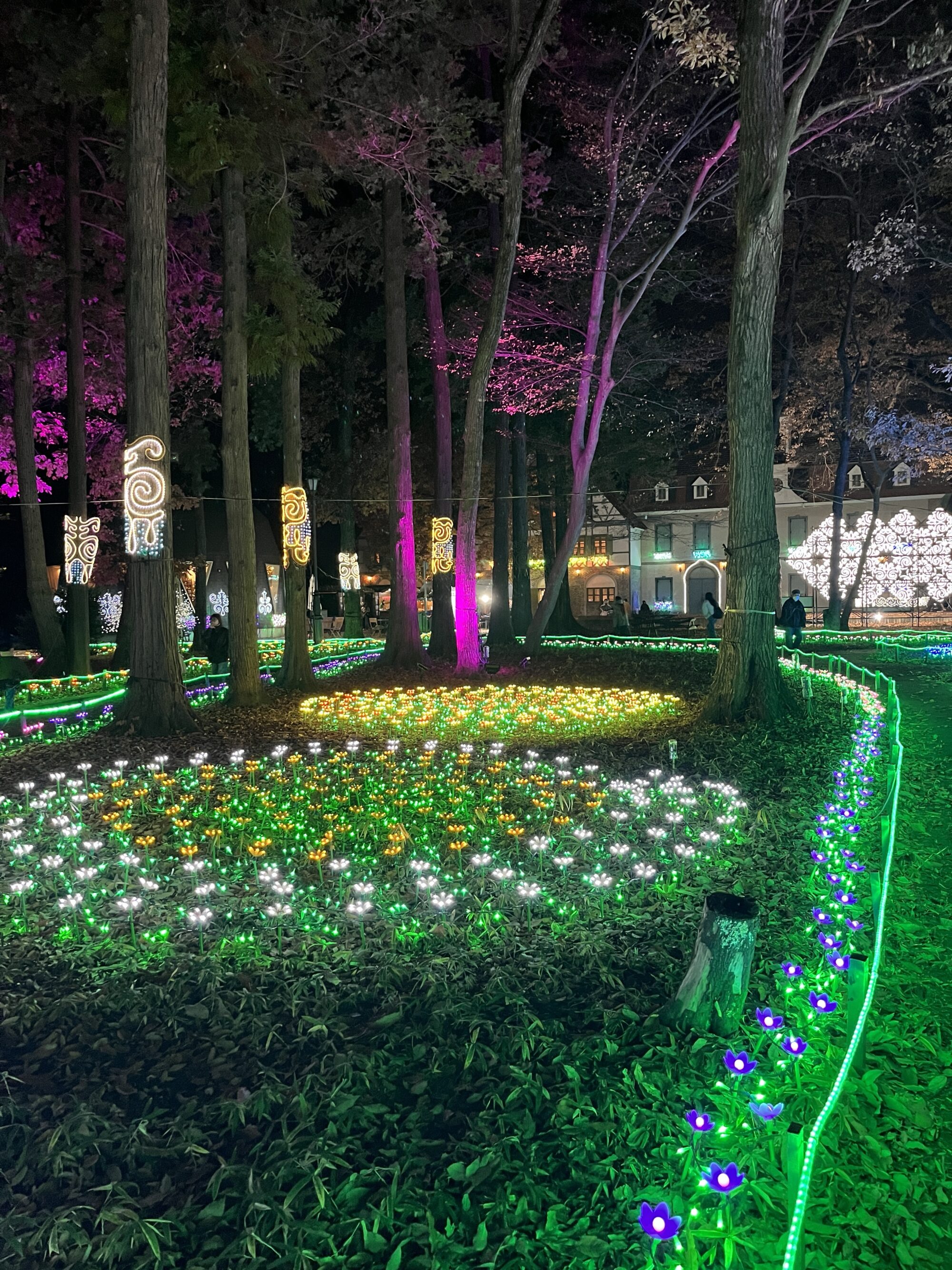 【番外編】グリムの森でお得に楽しむイルミネーション（栃木県下野市）